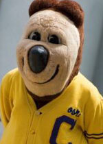 Oski the bear wearing a yellow cardigan